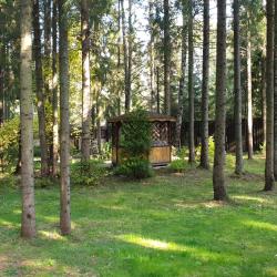 Фото Отель WISH HOTEL Seliger (Виш Селигер)