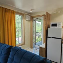 1-комнатные апартаменты студия