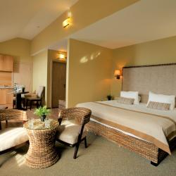 1-комнатные апартаменты студия