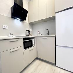 2-комнатные апартаменты стандарт в центре Тюмени с живописным прудом