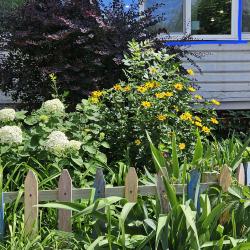 Фото Апартаменты 