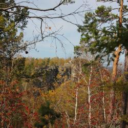 Фото Отель Загородный комплекс Аракуль