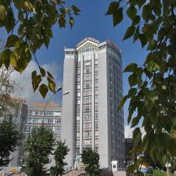 Палас (Palace) — 0311def22e83ebb997e01d2e010a371a
