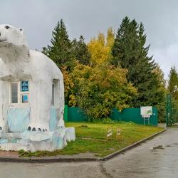 Фото Отель В гости на улице Челюскинцев 14/1