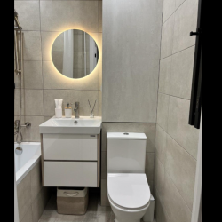 1-комнатные апартаменты люкс (мансарда)