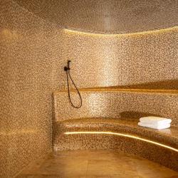 фото 69 Hyatt Regency Ekaterinburg (Хаятт Ридженси Екатеринбург)
