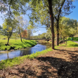 Фото Апарт-отель Чайка
