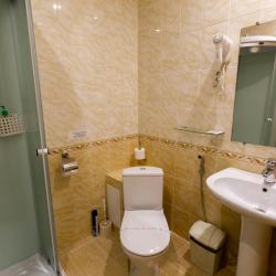 2-местный номер стандарт с 1 двуспальной кроватью