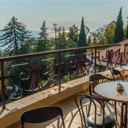 Фото Отель Дивный