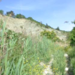 Фото Отель Аммонит