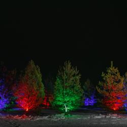 Фото Отель 12 сосен