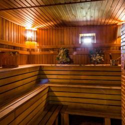 Фото Отель Жар-Птица