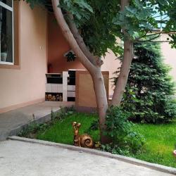 Фото Отель Фродо