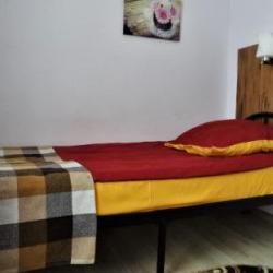 фото 10 Делайт Инн Полянка (Delight Inn Polyanka)