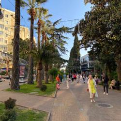 Фото Отель Амо Теамо на Навагинской