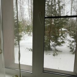 Русский лес — 03930d1d20796531ead6009f7559edca