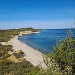 Фото Отель Коттедж на Солнечном переулке