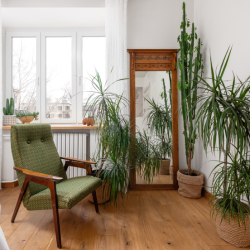 фото 10 Estetic House (Эстетик Хаус) на улице Доватора