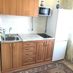 Фото Апартаменты на проспекте 100-летия а