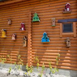 Фото Galla Hotel (Галла отель)