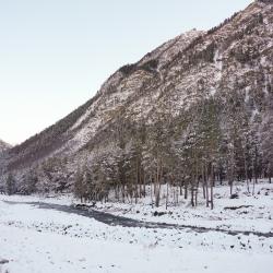 Фото Отель Альпина Хаус