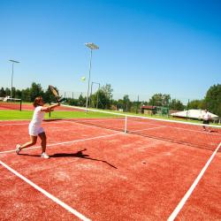 Фото Отель Дачники