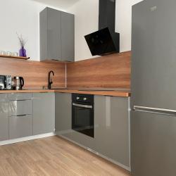 1-комнатные апартаменты стандарт