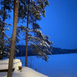 Фото Отель Берлога