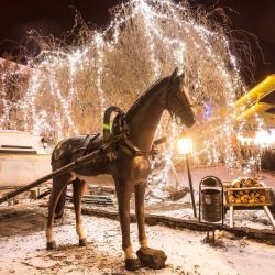 Фото Отель Старый город