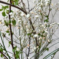 Апартаменты улучшенные Иркутск, бульвар Рябикова 23/1