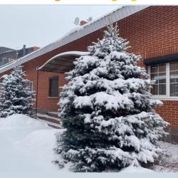 Фото Отель Apreski Бунгало на Банном (Апрески)