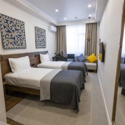 2-местный номер стандарт с 2 односпальными кроватями