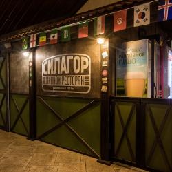 Фото Отель Сила Гор