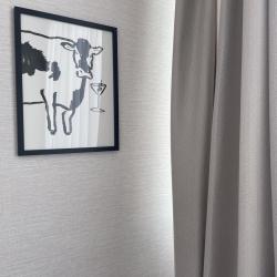 Фото Отель Дизайнерская квартира у Летнего озера