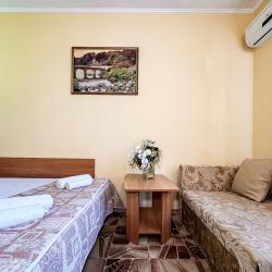 Комната стандарт с 1 двуспальной кроватью и диваном