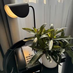 Фото Отель Evropa (Европа)