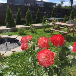 Фото Отель Куршале