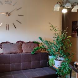 Фото Отель Мельница