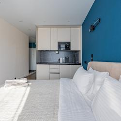 2-местные 1-комнатные апартаменты студия с 1 двуспальной кроватью (338-340)