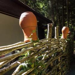 Фото Отель Green Forest Club (Грин форест клаб)