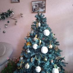 Фото Отель Аквилон