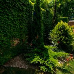 Фото Отель Адмирал