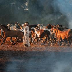 Фото Отель Дом Дракона в Яви-Нави