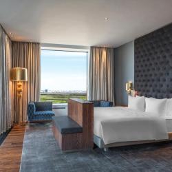фото 21 Hilton Saint Petersburg ExpoForum (Хилтон Санкт-Петербург ЭкспоФорум)