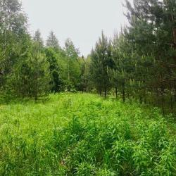 Фото Отель Глэмпинг на Озёрах