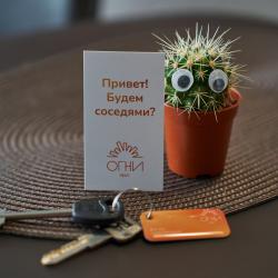 Апартаменты стандарт