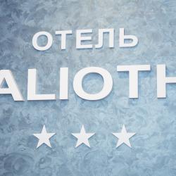 фото 2 Alioth (Алиот)