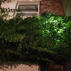 Фото Отель Каменный цветок