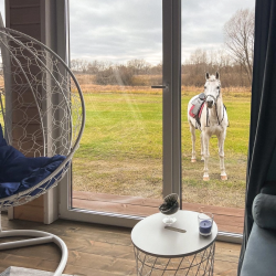 Фото Отель Эко-ферма Славная