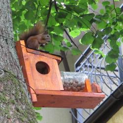 Фото Отель Фламинго